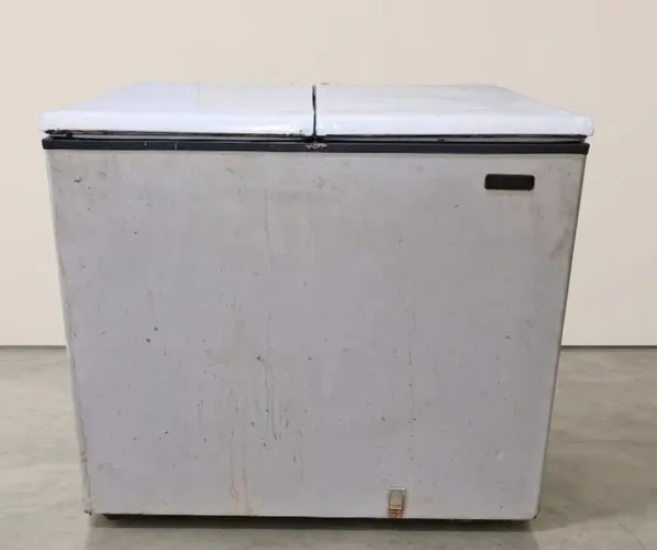 Freezer horizontal
