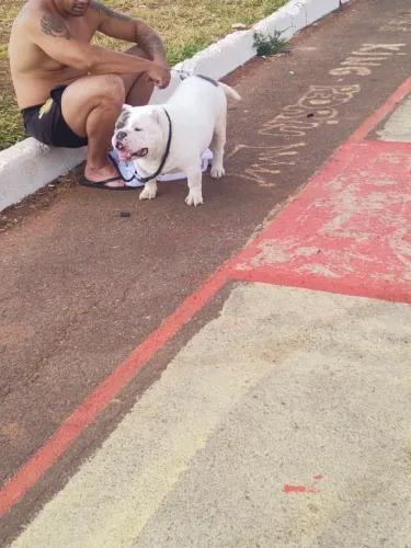 doação amarican bullying
