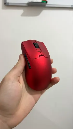 Mouse Delux M800 Mini