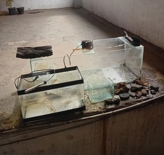 Mega Lote de Aquarismo: Aquário 100L + Aquaterrário + Beteira + Filtro + Acessórios