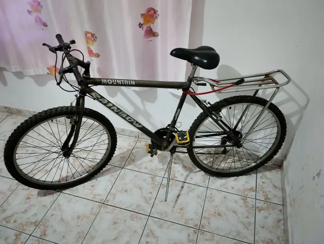 Bicicleta adulto