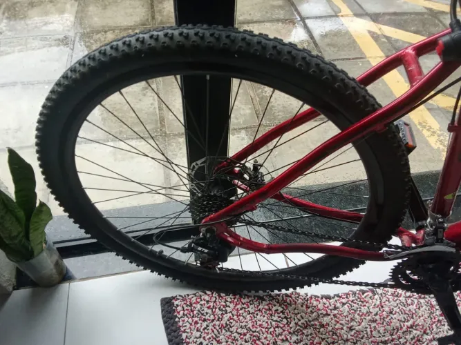 Bicicleta