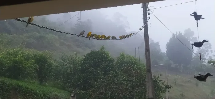 Oportunidade! Chácara