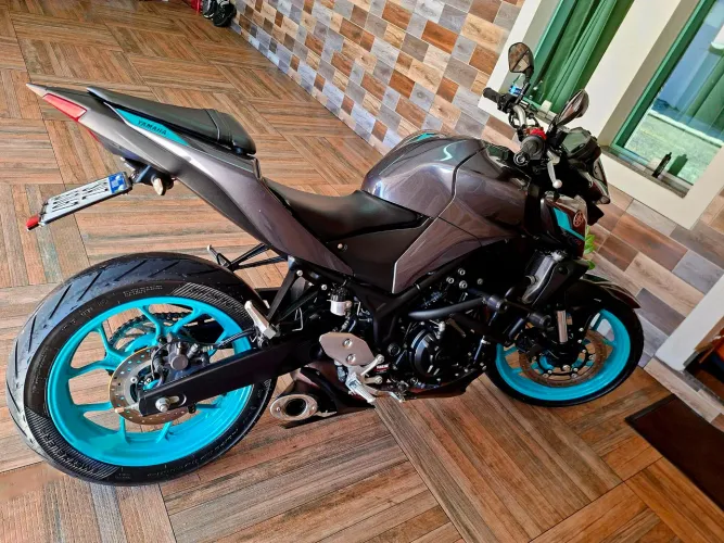 MT 03 2025 cor mais desejada