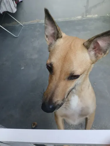 Doação 