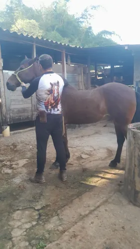 Caseiro com experiência