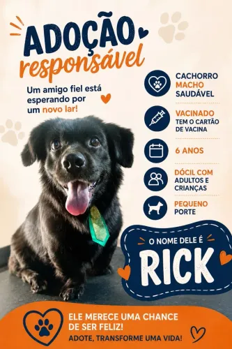 Doação responsável 