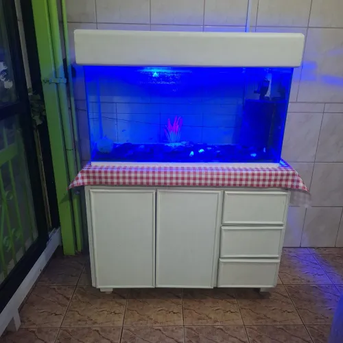 aquario grande com bomba e movel!