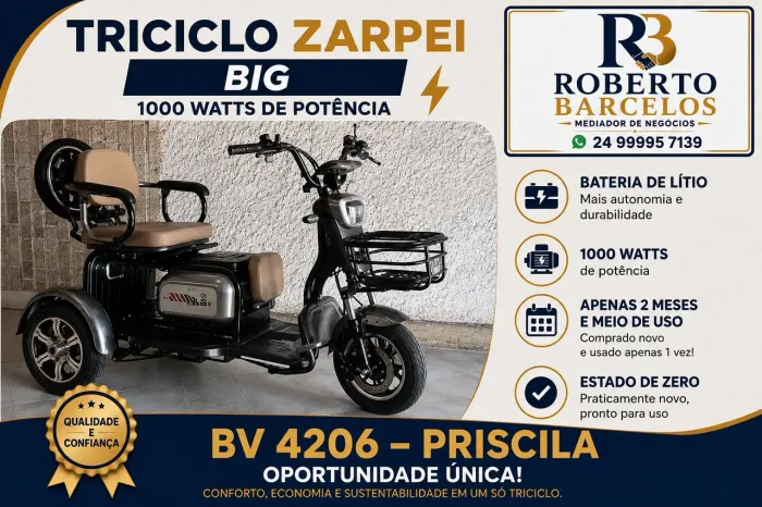 Triciclo Zarpei Big 1000 watts bateria de lítio