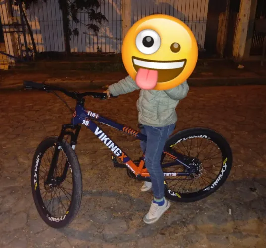 Vendo viking tuff30