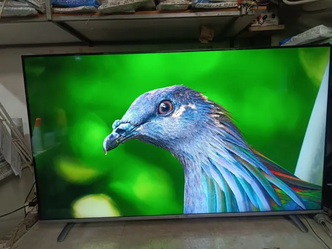 TV SMART PHILCO "55"