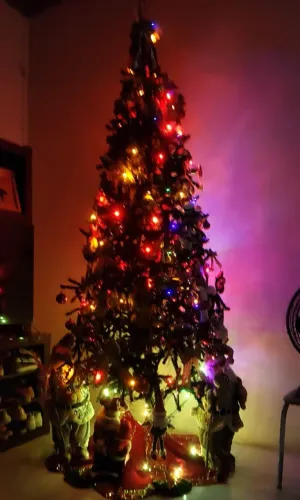 Árvore de Natal