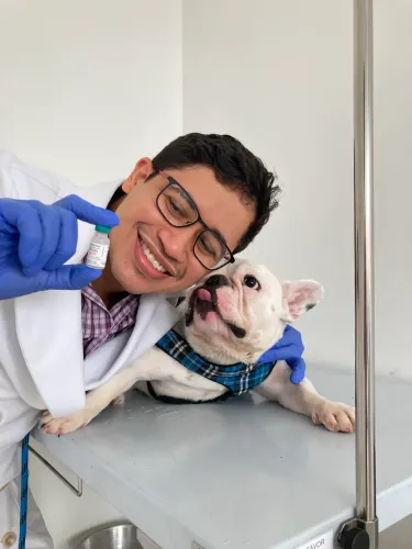 Consultas veterinárias a domicílio