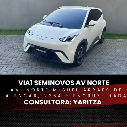 BYD Dolphin Mini (Elétrico) 2025