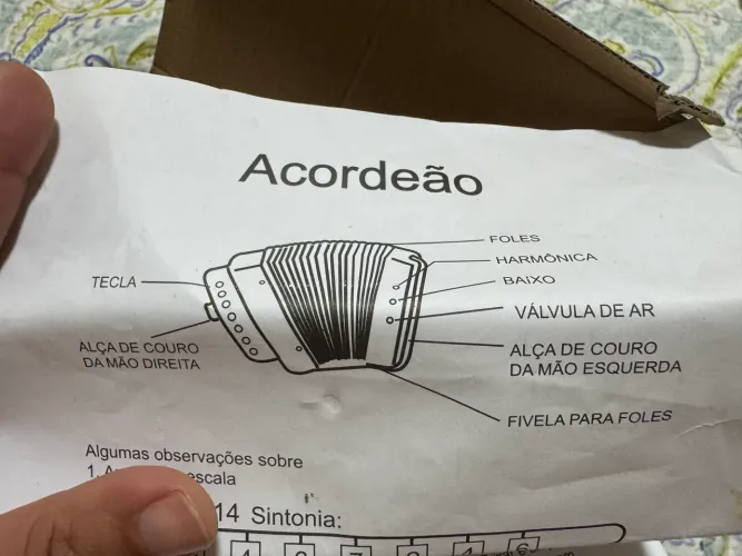 Acordeão (Sanfona) infantil 