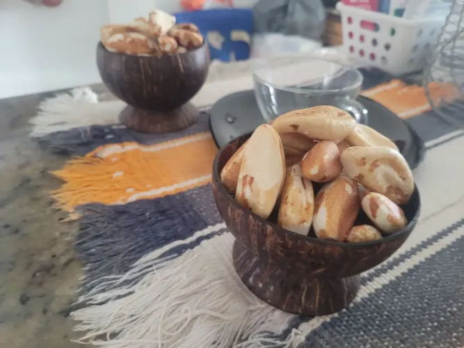 Polpa de Cupuaçú - Castanha do Pará