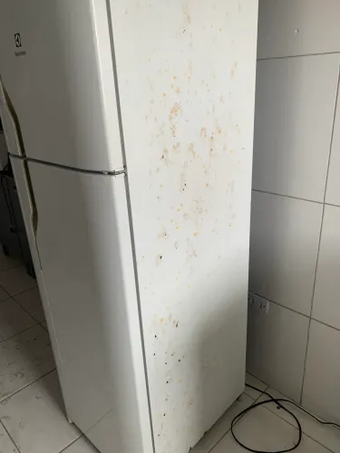 Geladeira Eletrolux