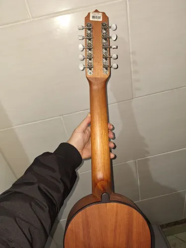 Viola Caipira Rozini