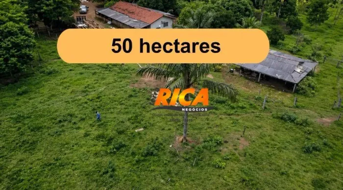 Sítio com 50 hectares à venda na área rural de Porto Velho-RO