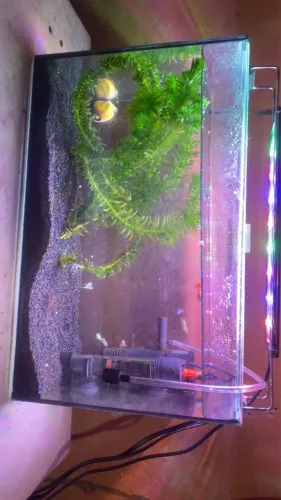 Aquário com led