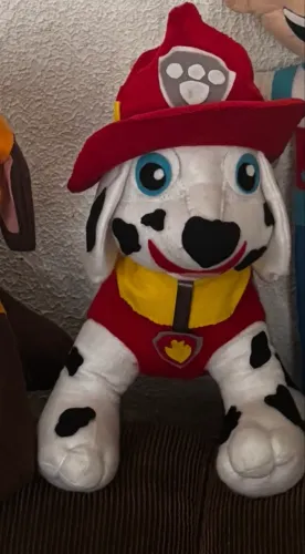 Marshall patrulha canina paw patrol