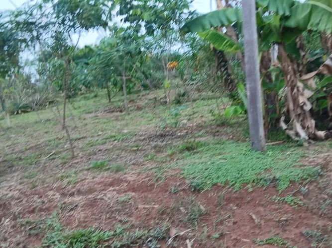 Chácara Terra Prometida
