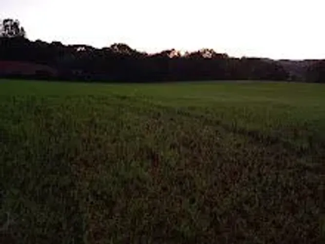 Terrenos em Contenda PR,
