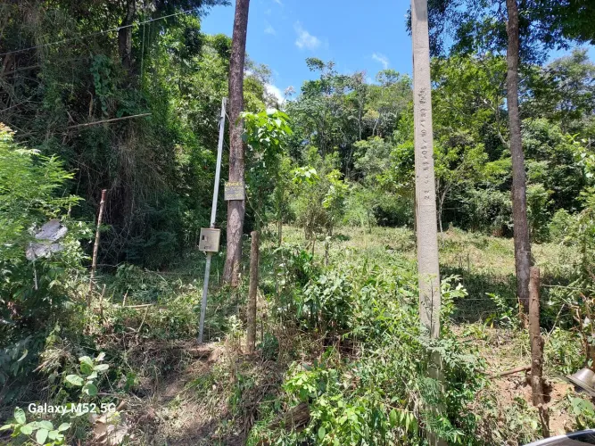 Vendo terreno em Antônio dos Santos Caete MG.