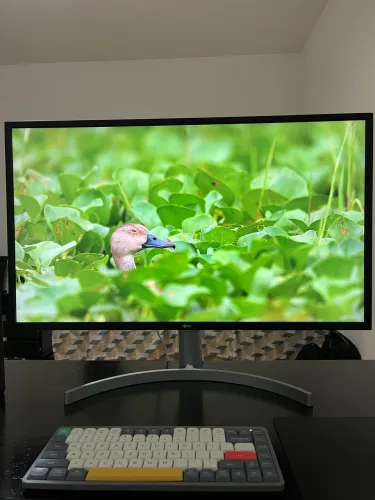 Monitor LG 32 polegadas 4K 60hz com hub USB/Thunderbolt