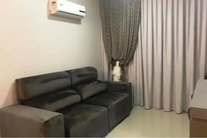 Apartamento para aluguel com 75 metros quadrados com 2 quartos em Bombas - Bombinhas - SC