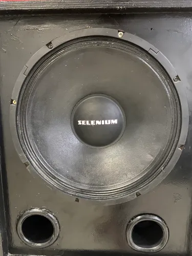 Alto falante de 15 selenium 700w