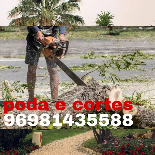 Poda e cortes árvores ? 