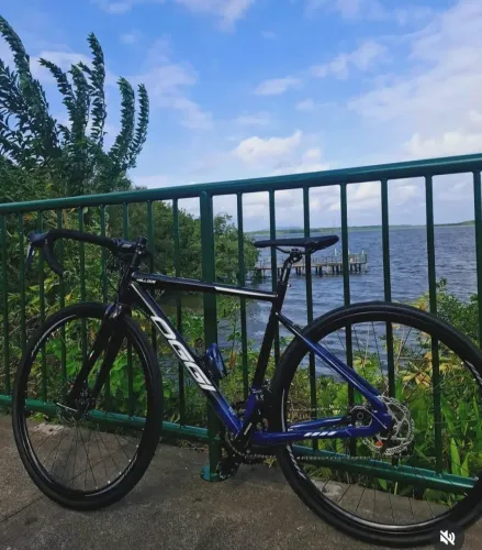Bicicleta oggi veloce 4 meses de uso