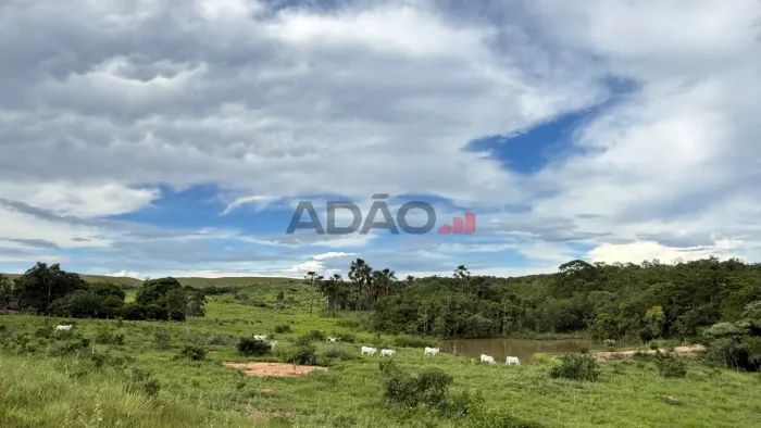 FAZENDA PADRE BERNARDO 29ha a 90KM DE BRASILIA