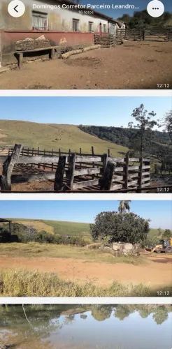 Fazenda com altitude pra café 