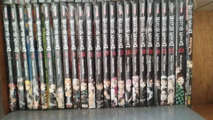 Demon Slayer completo + 1 Novel