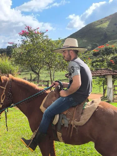 Cavalo a venda docel 