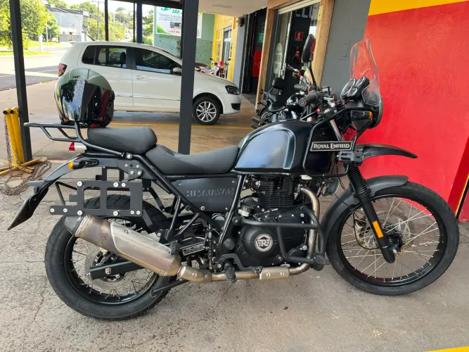 Vendo Himalayan
