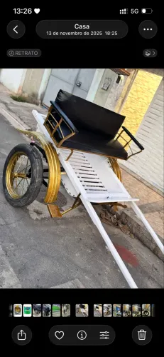 Vendo charrete muriae bem conservada