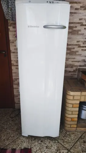 Frizzer vertical