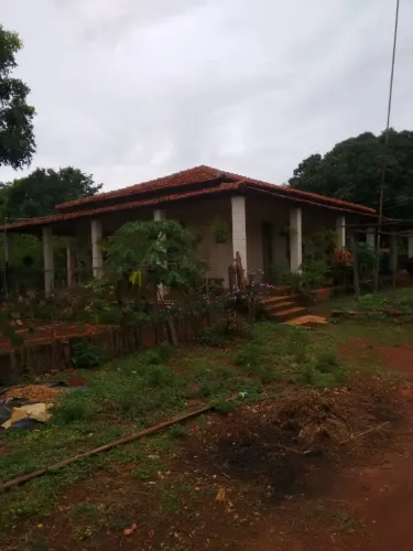 Vendo terreno 9,8 hectares ( Dois alqueires )
