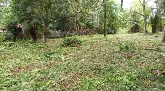Terreno 50X300