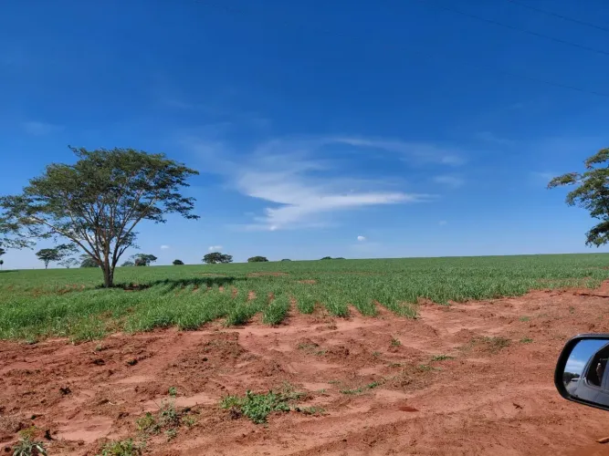Fazenda 87 Alqueires em Mirandópolis/SP