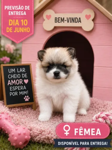 Lulu da Palmerania