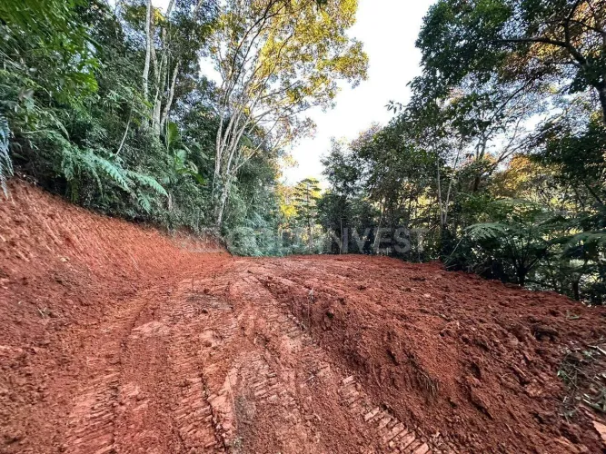 Terreno à venda no Bairro Cedro Alto em Brusque/SC com 4500m2