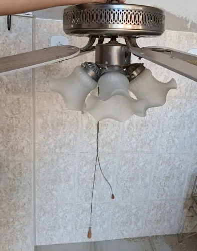 Ventilador de teto