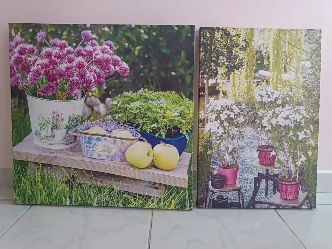 Quadros decorativos ( diversos)