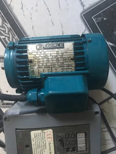 Motor de indução trifásico 1/6 CV