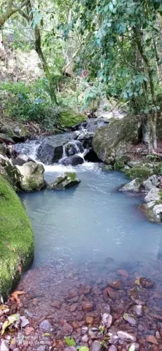 Chácara 8 Hectares em Rolante RS Casa Madeira 2 Quartos Galpão Arroio