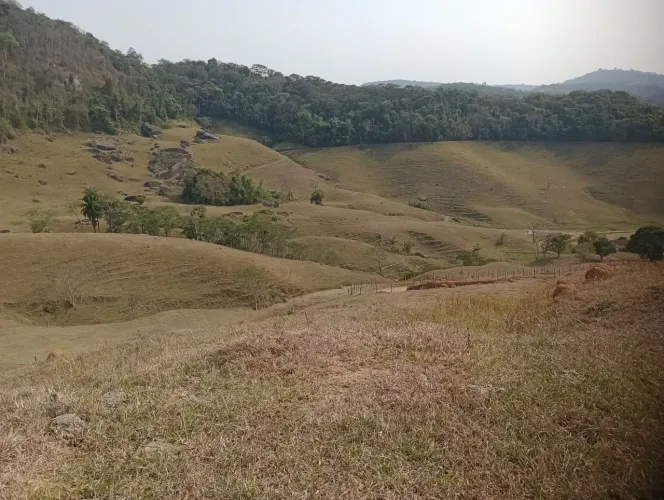 Luxo de sitio com 80 hectares.